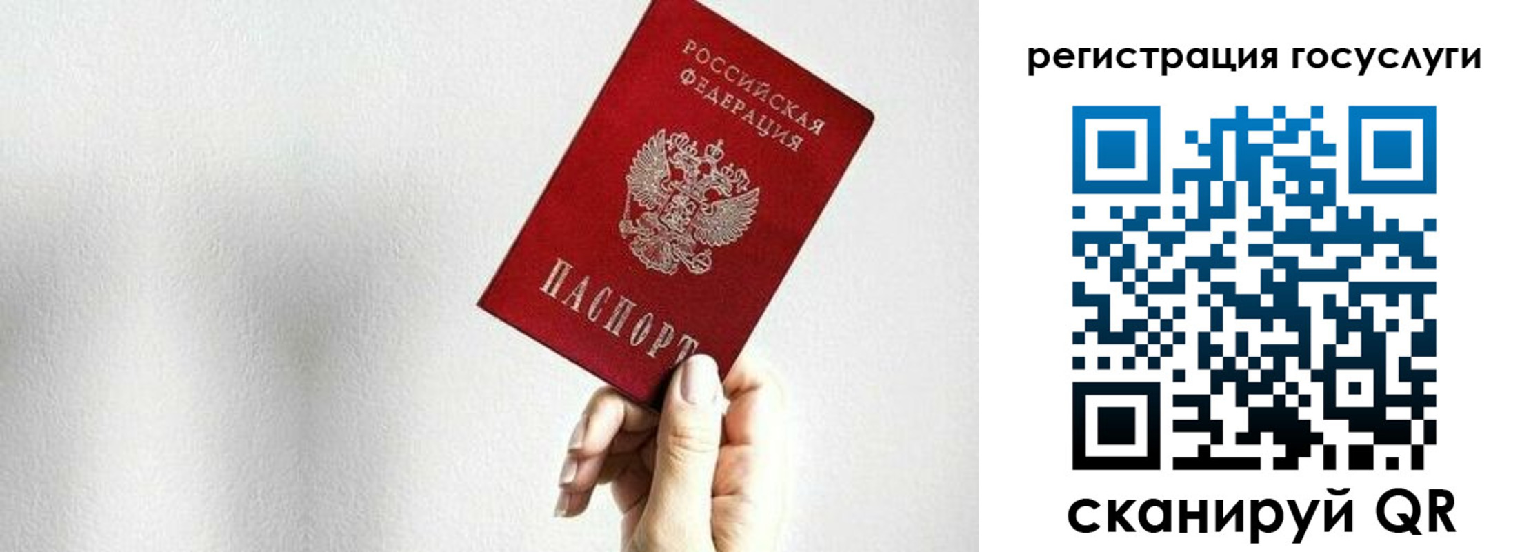 прописка гарантия в Новороссийске